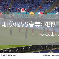 斯莫根VS高美尔B队