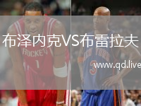 布泽内克VS布雷拉夫