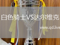 白色骑士VS达尔维克