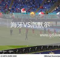 海牙VS洛默尔
