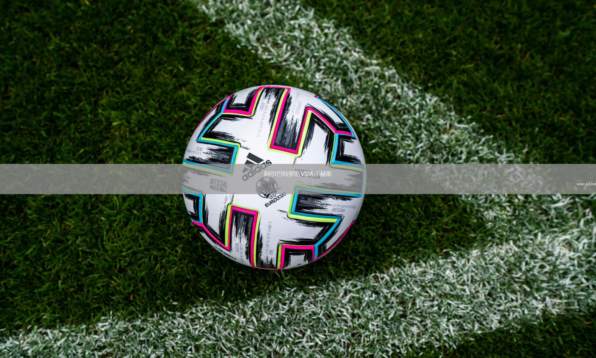 阿尔巴特罗斯VS博尔赫斯