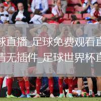 足球直播_足球免费观看直播高清无插件_足球世界杯直播