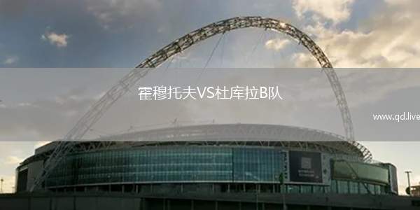 霍穆托夫VS杜库拉B队