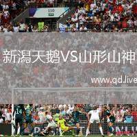 新潟天鹅VS山形山神
