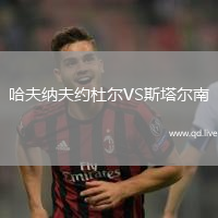 哈夫纳夫约杜尔VS斯塔尔南