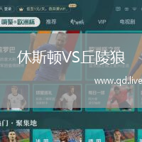 休斯顿VS丘陵狼
