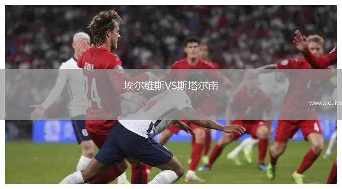 埃尔维斯VS斯塔尔南