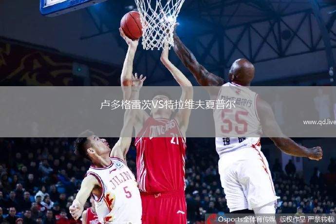 卢多格雷茨VS特拉维夫夏普尔