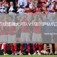 匹兹堡猎犬河队VS塔尔萨钻机工