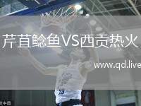 芹苴鲶鱼VS西贡热火