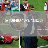 特雷普查89VSKF利里亚