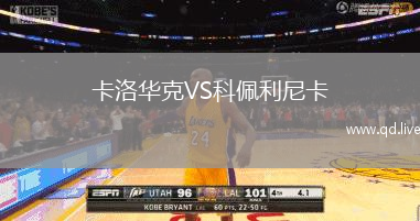 卡洛华克VS科佩利尼卡