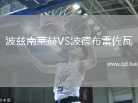 波兹南莱赫VS波德布雷佐瓦