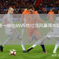 第一维也纳VS格拉茨风暴青年队