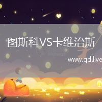 图斯科VS卡维治斯