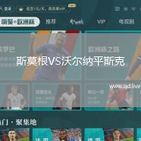 斯莫根VS沃尔纳平斯克