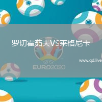 罗切霍茹夫VS莱格尼卡