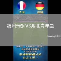 赣州瑞狮VS湖北青年星