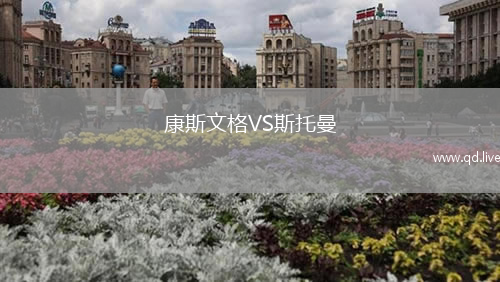 康斯文格VS斯托曼