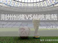 荆州恒隆VS仙桃黄鳝