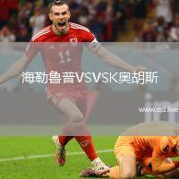 海勒鲁普VSVSK奥胡斯