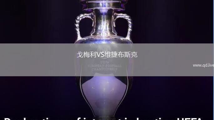 戈梅利VS维捷布斯克