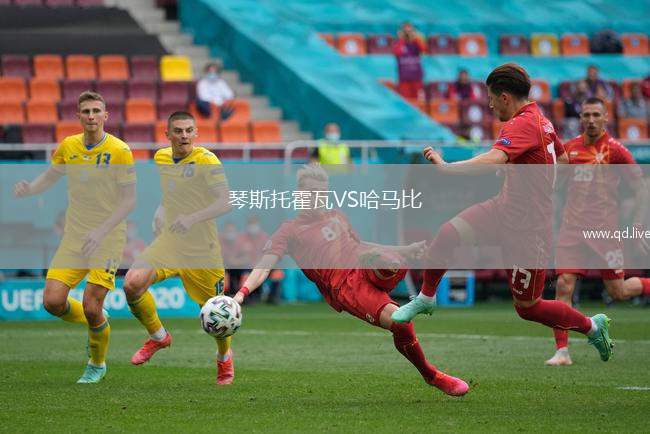 琴斯托霍瓦VS哈马比