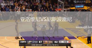 亚洛维尼VS尼斯波雷尼