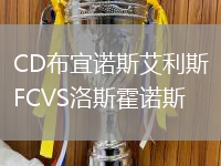 CD布宜诺斯艾利斯FCVS洛斯霍诺斯