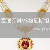 塞那乔其VS格尼斯坦