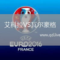 艾科拉VS瓦尔豪格