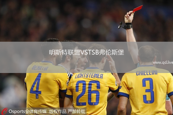明斯特联盟VSTSB弗伦斯堡