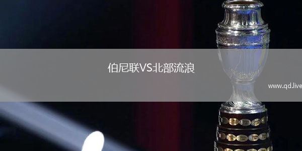 伯尼联VS北部流浪
