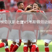 埃奇沃斯老鹰VS韦斯顿劳动熊
