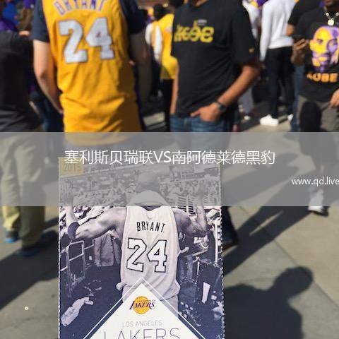 塞利斯贝瑞联VS南阿德莱德黑豹