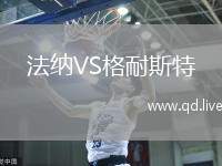 法纳VS格耐斯特