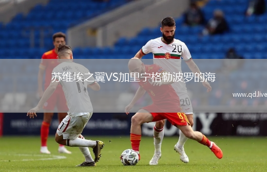 苏维埃之翼VS加里宁格勒波罗的海