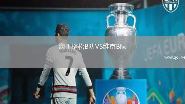 海于格松B队VS维京B队