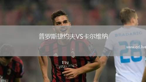普罗斯捷约夫VS卡尔维纳