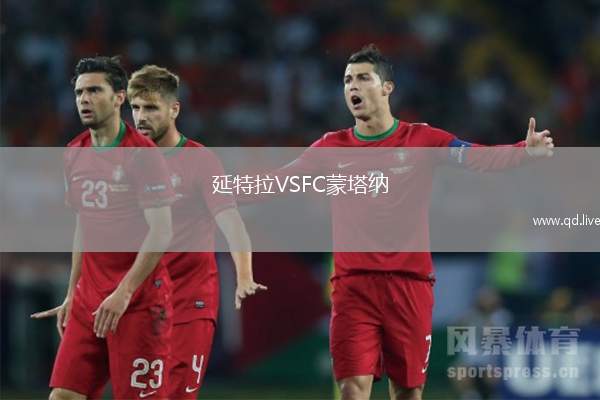延特拉VSFC蒙塔纳