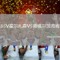BSV霍尔扎森VS普福尔茨海姆