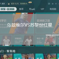 乌兹维尔VS苏黎世红星