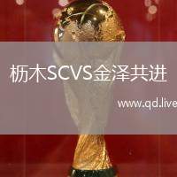 枥木SCVS金泽共进