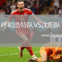 呼和浩特队VS沈阳队