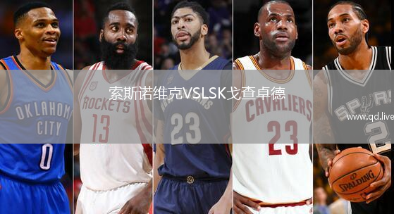 索斯诺维克VSLSK戈查卓德