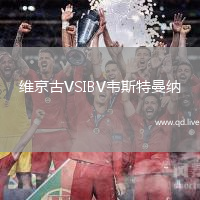 维京古VSIBV韦斯特曼纳