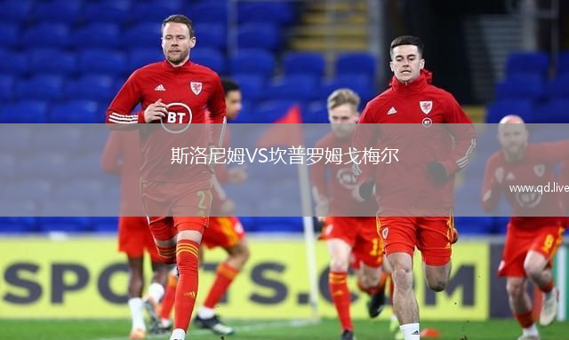 斯洛尼姆VS坎普罗姆戈梅尔