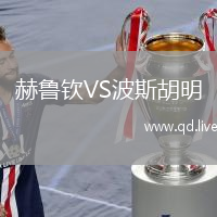 赫鲁钦VS波斯胡明