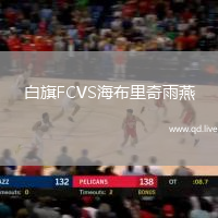 白旗FCVS海布里奇雨燕