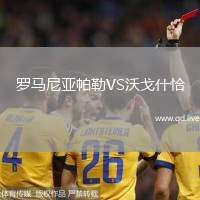罗马尼亚帕勒VS沃戈什恰